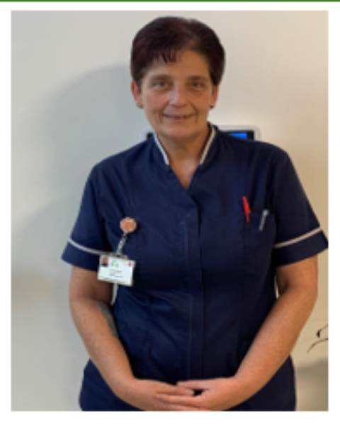 Picture of Teresa Hearn Profile